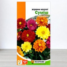Насіння жоржин махрових Суміш, Яскрава, 0,3г