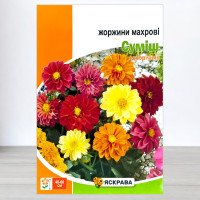 Насіння жоржин махрових Суміш, Яскрава, 2г
