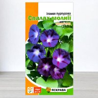 Насіння іпомеї пурпурової Спалах молнії, ТМ Яскрава, 1г