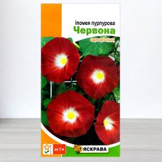 Насіння іпомеї пурпурової Червоної, Яскрава, 1г