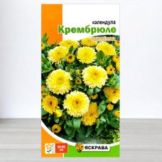 Насіння календули Крембрюле, Яскрава, 0,5г