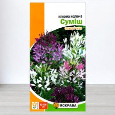 Насіння клеоми Сумiш, Яскрава, 0,2г