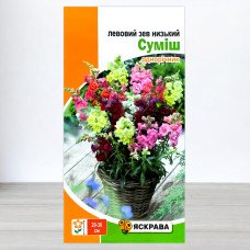 Насіння левового зіва низького Суміш, Яскрава, 0,2г
