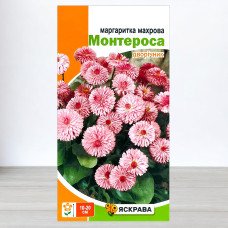 Насіння маргаритки махрової Монтероса Рожева, Яскрава, 0,1г