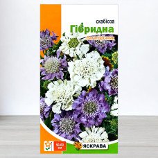 Насіння скабіози гібридної Багаторічна, Яскрава, 0,1г