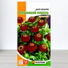 Насіння цинії махрової Вишневий Король Бордова, Яскрава, 0,5г