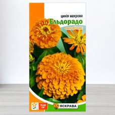 Насіння цинії махрової Ельдорадо Лососева, Яскрава, 0,5г