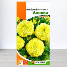 Насіння чорнобривців високорослих Аляска Лимонна, Яскрава, 0,5г