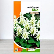 Насіння шавлії блискучої Білої, Яскрава, 0,15г