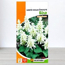 Насіння шавлії низької блискучої Білої, Яскрава, 0,1г
