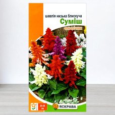 Насіння шавлії низької блискучої Суміш, Яскрава, 0,1г