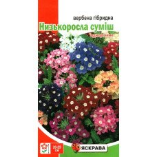 Насіння вербени гібридної Низькоросла Суміш, Яскрава, 0,2г