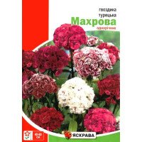 Насіння гвоздики Турецька Махрова, Яскрава, 3г