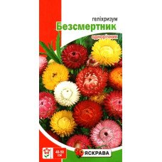 Насіння гелiхрiзуму Безсмертник, Яскрава, 0,2г