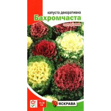 Насіння капусти декоративної Бахромчаста, Яскрава, 0,2г