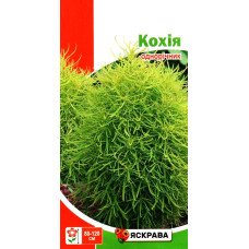 Насіння кохії, Яскрава, 0,5г