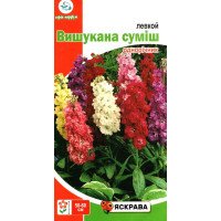 Насіння левкоя Вишукана Суміш, Яскрава, 0,2г