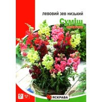 Насіння левового зіва низького Суміш, Яскрава, 2г