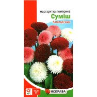 Насіння маргаритки помпонної Суміш, Яскрава, 0,1г