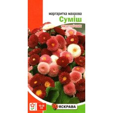 Насіння маргаритки махрової Сумiш, Яскрава, 0,1г