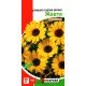 Насіння ромашки садової великої Жовтої, Яскрава, 0,3г