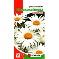 Насіння ромашки садової Великоквіткової багаторiчної, Яскрава, 0,5г