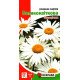 Насіння ромашки садової Великоквіткової багаторiчної, Яскрава, 0,5г