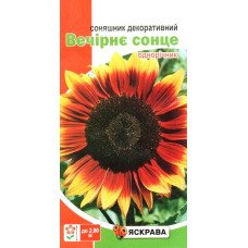 Насіння соняшника декоративного Вечірнє Сонце, Яскрава, 2г