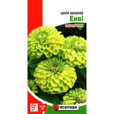 Насіння цинії махрової Енві Зелена, Яскрава, 0,5г