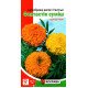 Насіння чорнобривців високорослих Фантастік Суміш, Яскрава, 0,3г