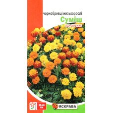 Насіння чорнобривців низькорослих Суміш, Яскрава, 0,5г