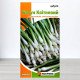 Насіння цибулі Батун Квітневий, Яскрава, 1г