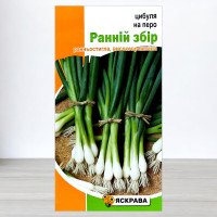 Насіння цибулі на перо Ранній Збір, Яскрава, 1г