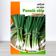 Насіння цибулі на перо Ранній Збір, Яскрава, 5г