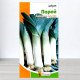 Насіння цибулі Порей, Яскрава, 1г