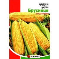 Насіння кукурудзи цукрової Брусниця, Яскрава, 20г