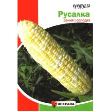 Насіння кукурудзи цукрової Русалка, Яскрава, 20г