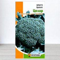 Насіння капусти броколі Цезар, Яскрава, 0,5г