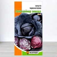 Насіння капусти червоноголової Лангедейкер Зимова, Яскрава, 0,5г
