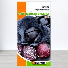 Насіння капусти червоноголової Лангедейкер Зимова, Яскрава, 0,5г