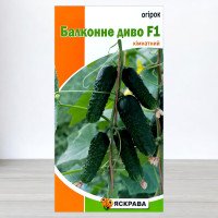 Насіння огірка бджолозапильного Балконне Диво Кімнатний, Яскрава, 5 насінин