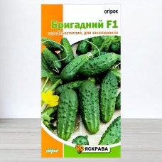 Насіння огірка бджолозапильного Бригадний F1, Яскрава, 0,5г