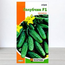 Насіння огірка бджолозапильного Голубчик F1, Яскрава, 0,5г