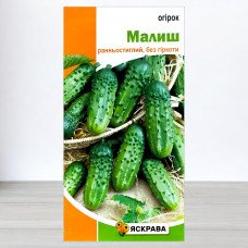 Насіння огірка бджолозапильного Малюк, Яскрава, 1г