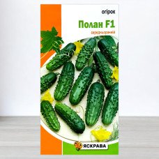 Насіння огірка бджолозапильного Полан F1, Яскрава, 0,5г