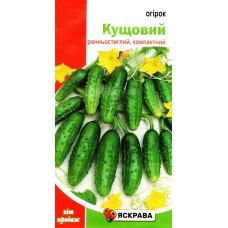 Насіння огірка бджолозапильного Кущовий, Яскрава, 1г