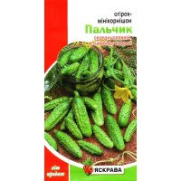 Насіння огірка бджолозапильного Мінікорнішон Пальчик, Яскрава, 1г