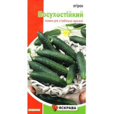 Насіння огірка бджолозапильного Посухостійкий, Яскрава, 1г