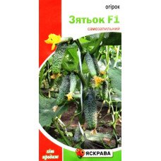 Насіння огірка партенокарпічного Зятьок F1, Яскрава, 0,3г