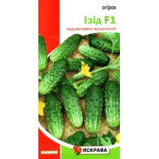 Насіння огірка бджолозапильного Ізід F1, Яскрава, 0,5г